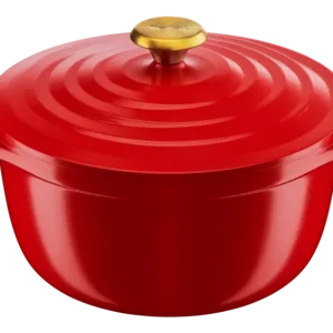 cocotte-en-aluminium-tefal-fonte-24cm